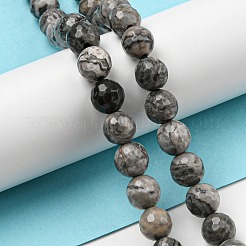 Natural Map Stone/Picasso Stone/Picasso Jasper Beads Strands&nbsp;G-C079-B05-02