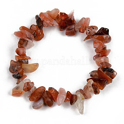 Unisex Chip Natural Carnelian/Red Agate Beaded Stretch Bracelets&nbsp;BJEW-S143-01