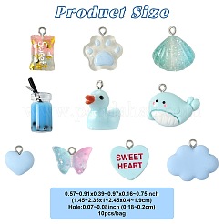 1 Bag Resin Pendants&nbsp;RESI-FS0002-22