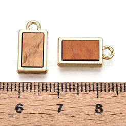Alloy Charms&nbsp;PALLOY-N177-08G