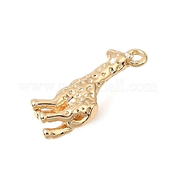 Brass Pendants&nbsp;KK-CBA2395-03G