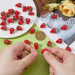 30Pcs Lampwork Beads&nbsp;LAMP-DC0001-26