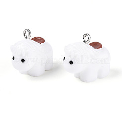 Opaque Resin Pendants&nbsp;RESI-N046-01
