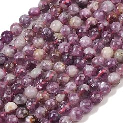 Natural Lepidolite/Purple Mica Stone Beads Strands&nbsp;G-G160-A01-04