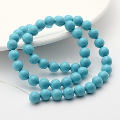 Shell Pearl Beads Strands&nbsp;X-SP8MM245
