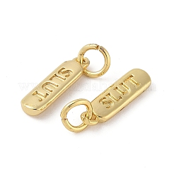 Brass Pendants&nbsp;KK-L245-01G-04