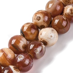 Natural Fire Crackle Agate Beads Strands&nbsp;G-G163-A01-02
