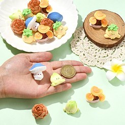 20Pcs 5 Styles Mini Resin Simulation&nbsp;RESI-CJ0004-74
