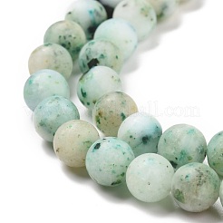 Natural Chrysocolla Beads Strands&nbsp;G-F612-04-8mm