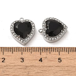 304 Stainless Steel Pendants&nbsp;STAS-L022-081P-04