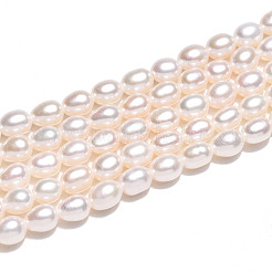 Natural Cultured Freshwater Pearl Beads Strands&nbsp;PEAR-N012-04Y-01