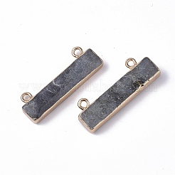 Natural Labradorite Charms&nbsp;G-S359-012B