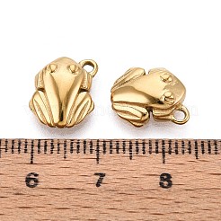 304 Stainless Steel Charms&nbsp;STAS-N109-171G