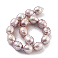 Natural Cultured Freshwater Pearl Beads Strands &nbsp;PEAR-P062-13F