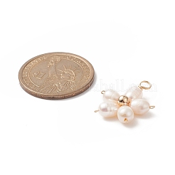 Natural Cultured Freshwater Pearl Pendants&nbsp;PALLOY-JF02024