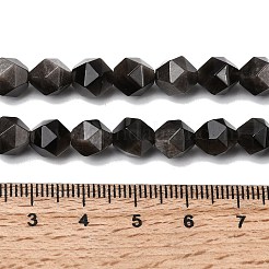 Natural Silver Obsidian Beads Strands&nbsp;G-Z119-A11-02