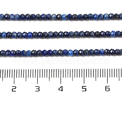 Dyed Natural Lapis Lazuli Beads Strands&nbsp;G-K376-B05-01