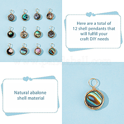 12Pcs Natural Abalone Shell/Paua Shell Pendants&nbsp;SHEL-FI0001-01