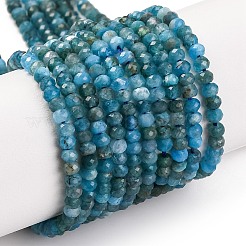 Natural Apatite Beads Strands&nbsp;G-F770-D09-02B