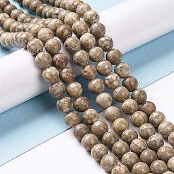 Natural Maifanite/Maifan Stone Beads Strands&nbsp;G-I187-8mm-01