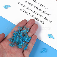 Transparent Acrylic Pendants&nbsp;MACR-S373-130-B08