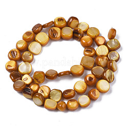 Natural Trochid Shell/Trochus Shell Beads Strands&nbsp;SHEL-S258-083-B09