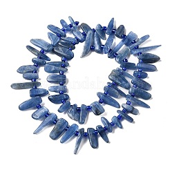 Natural Kyanite Beads Strands&nbsp;G-J403-02