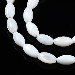 Natural Freshwater Shell Beads Strands&nbsp;SHEL-Q024-021