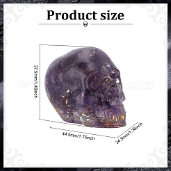 1Pc Resin Skull Display Decoration&nbsp;DJEW-ME0001-02
