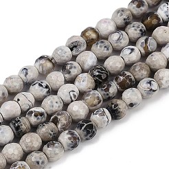 Natural Fire Crackle Agate Beads Strands&nbsp;G-C082-A01-42