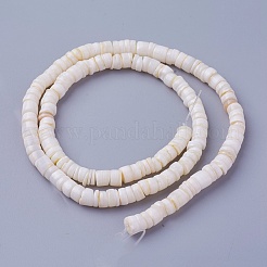 Natural Shell Beads Strands&nbsp;X-SSHEL-E571-49I
