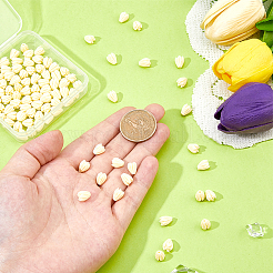 150pcs Shell Pikake Flower Beads&nbsp;FIND-HS0001-07