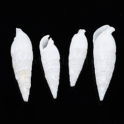 Natural Trochid Shell/Trochus Shell Beads&nbsp;SSHEL-N034-116