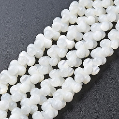 Natural Trochid Shell/Trochus Shell Bead Strands&nbsp;SSHEL-N034-104-B01