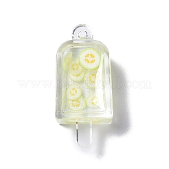 Transparent Resin Pendants&nbsp;RESI-D057-17