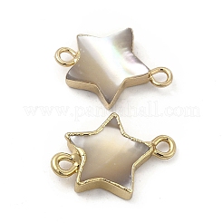 Natural Trochus Shell Connector Charms&nbsp;PEAR-P004-53KCG