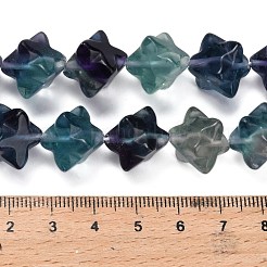 Natural Fluorite Beads Strands&nbsp;G-L634-J04-D01