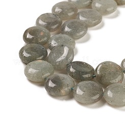 Natural Labradorite Beads Strands&nbsp;G-M403-C09-01