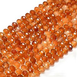 Natural Carnelian Beads Strands&nbsp;G-P573-A53-01