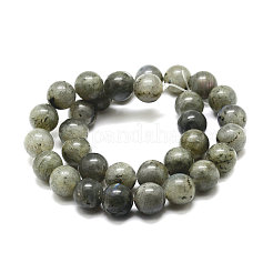 Natural Labradorite Bead Strands&nbsp;X-G-P256-01-8mm