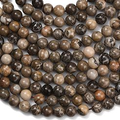 Natural Fossil Coral Beads Strands&nbsp;G-C288-A01-10mm