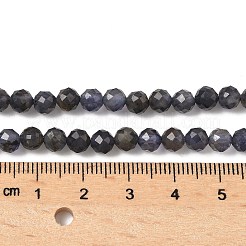 Natural Iolite Beads Strands&nbsp;G-J400-E05-02B
