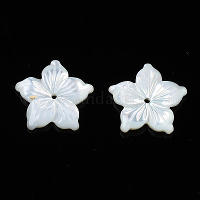Natural White Shell Beads&nbsp;SSHEL-N027-131A-01-1