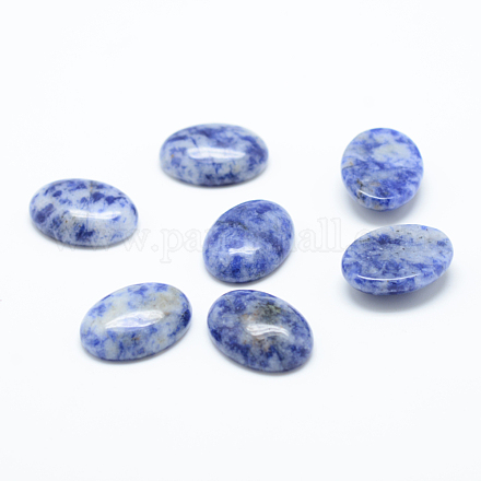 Natural Blue Spot Jasper Cabochons&nbsp;G-T020-18x25mm-09-1