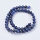 Natural Sodalite Beads Strands&nbsp;X-G-G448-8mm-25-2