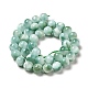 Natural Glass Beads Strands&nbsp;G-I247-32C-3