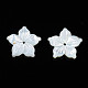 Natural White Shell Beads&nbsp;SSHEL-N027-131A-01-2