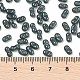 Baking Paint Glass Seed Beads&nbsp;SEED-L011-09A-23-4