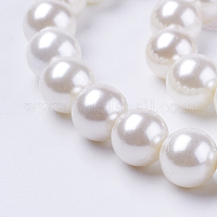 Shell Pearl Beads Strands&nbsp;BSHE-L035-6mm-I13