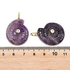 Natural Amethyst Pendants&nbsp;G-H353-02G-07